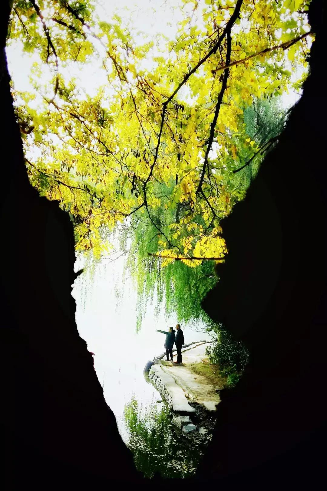 60后手机摄影发布的作品,60后手机摄影创作原声