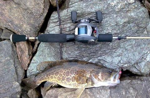 路亚新手入门绑线,新手入坑路亚选2.1米的还是2.4米