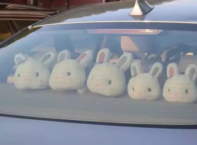 车内悬挂装饰品,要罚款!九成司机不知道!快自查!