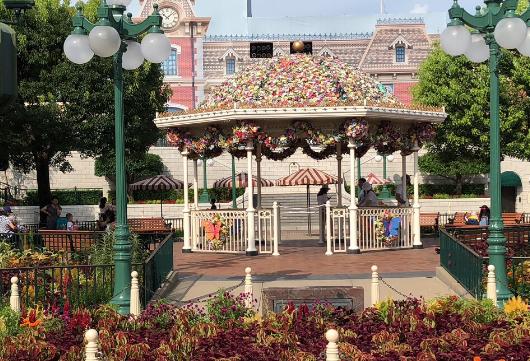 国内哪些地点应该怎么玩-“香港”游记指南