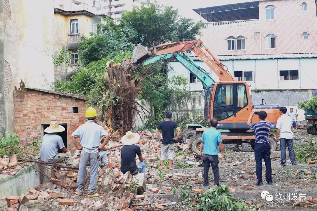 钦州市公立小学规划,钦州三小最新规划