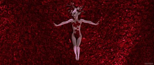 佛罗伦萨经典,意大利佛罗伦萨玫瑰水