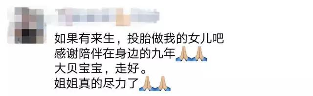 狗食物中毒肾衰竭,狗肾衰竭放弃治疗能活多久