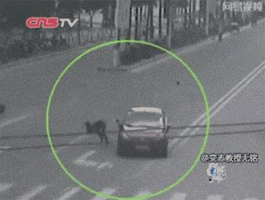 这表演技能，表演界绝对欠他一个奥斯卡