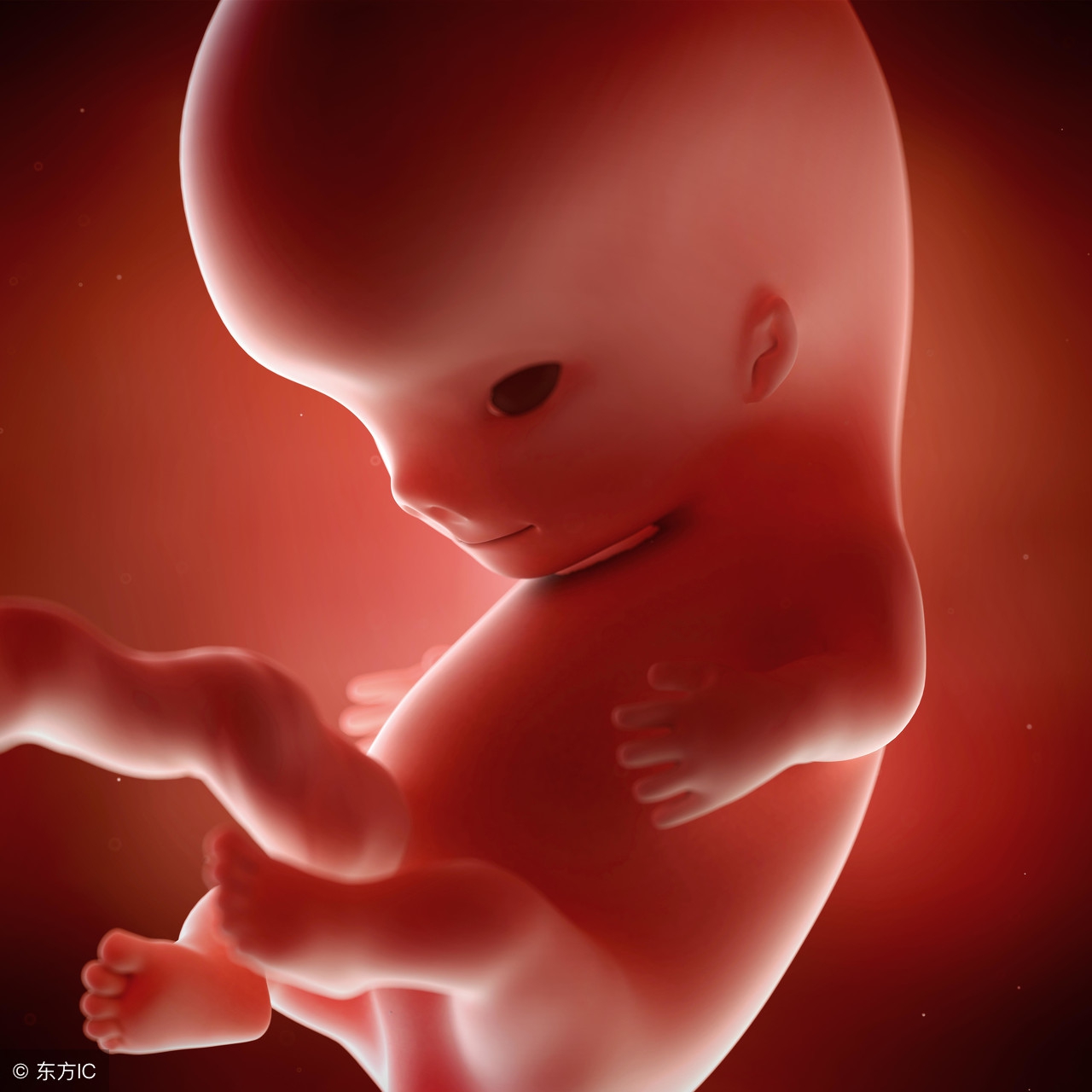 真相来了原版视频,真相来了宝宝比实际孕周小