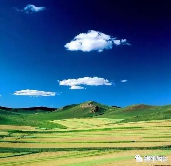 初学者单反相机入门教程,如何学习单反数码相机的简单操作