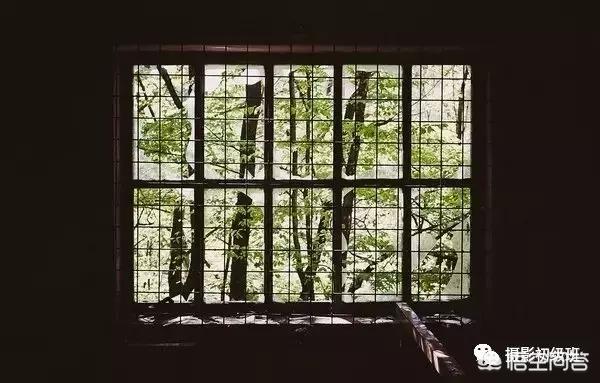 初学者单反相机入门教程,如何学习单反数码相机的简单操作