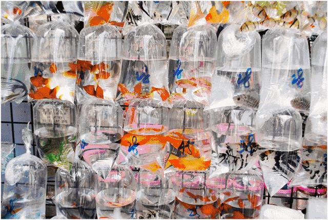 无锡坐高铁去香港是种什么体验,江浙沪坐高铁去香港的流程