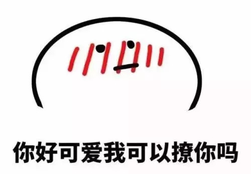 2020小升初玄外录取排名,正衡小升初摇号录取名单