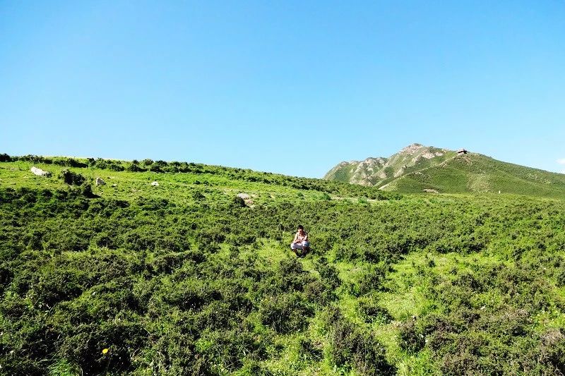 张掖是现在的什么城市,张掖一座被严重低估的城市