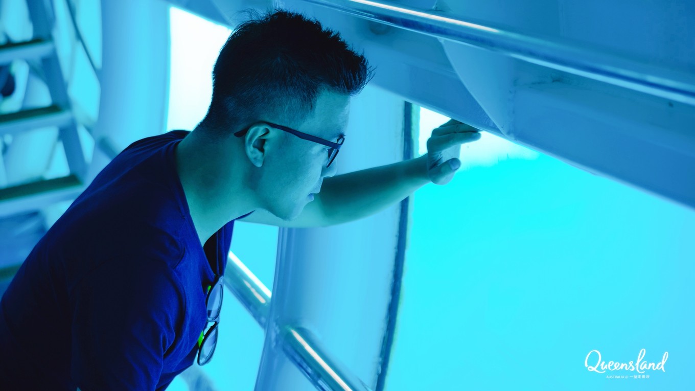 大堡礁坐船多久,去大堡礁玩多少钱