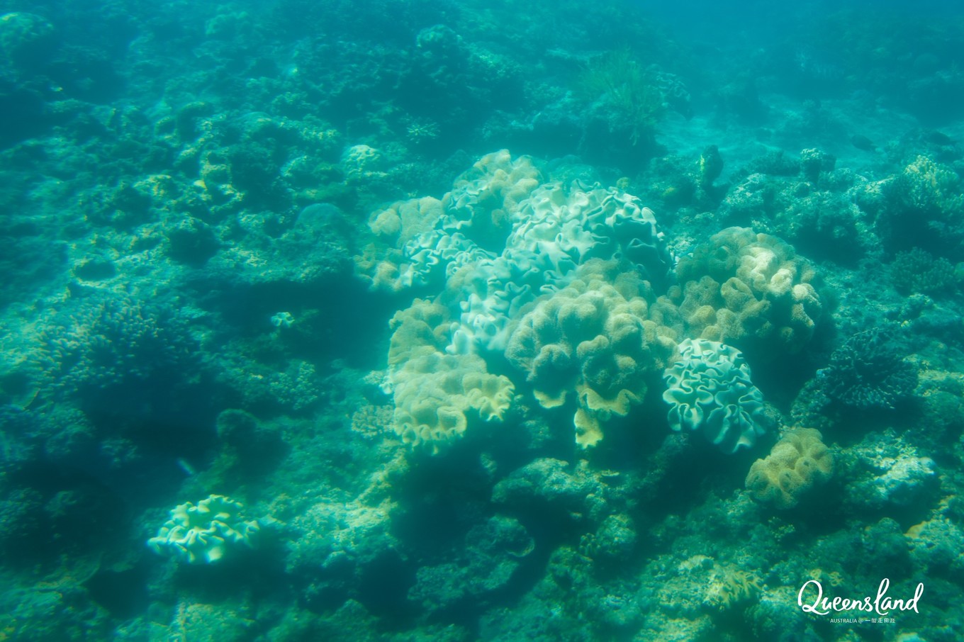 大堡礁值得去吗现在能去吗,大堡礁旅行攻略