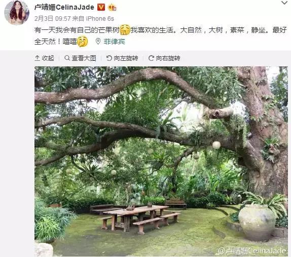 上干货！这些漂亮的女孩为何不馋肉？11位素食主义女星大起底