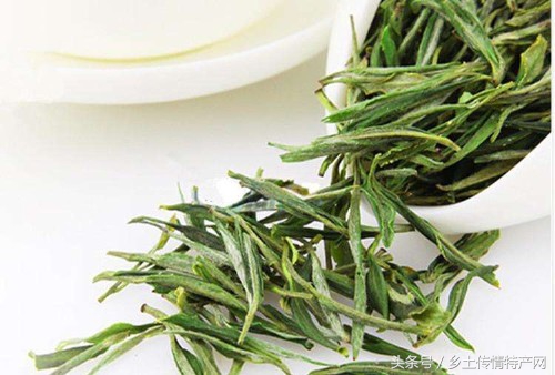 正宗黄山毛峰简介,黄山哪里可以买到正宗的毛峰