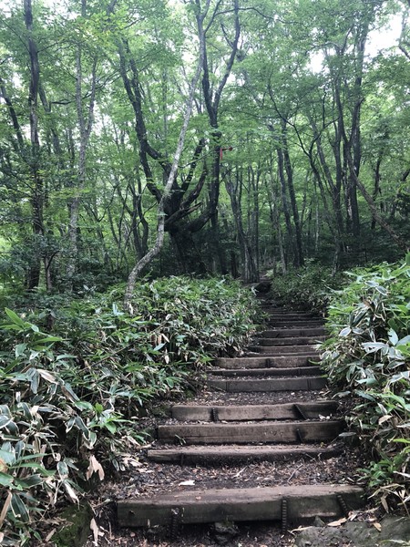 济州岛旅游遇台风,邂逅韩国电视剧国语版