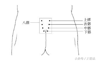 怀孕需要中医调理吗,怀孕前为什么用中医调理