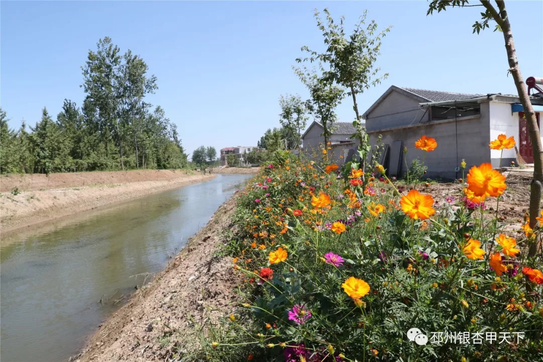 来不及解释了快上车原版视频,来不及解释了快上车动态图