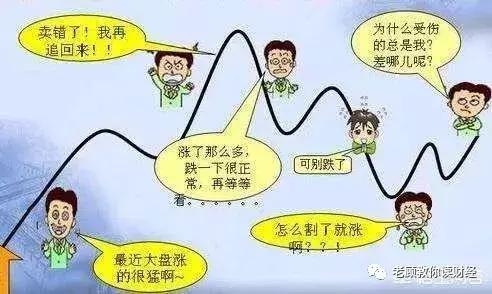 揭开股市暴跌的真相,从一个煎蛋说起