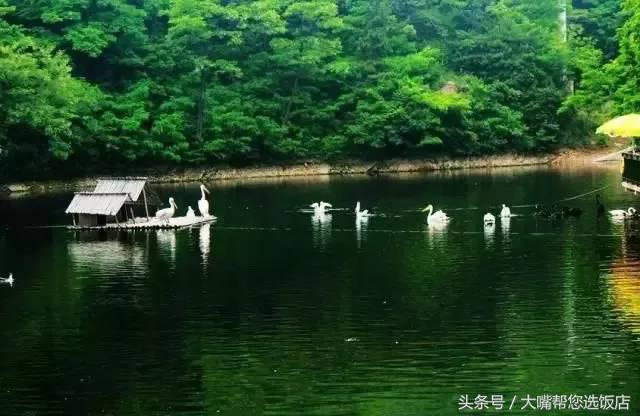 普兰店摩崖石刻景点图片,普兰店摩崖石刻门票