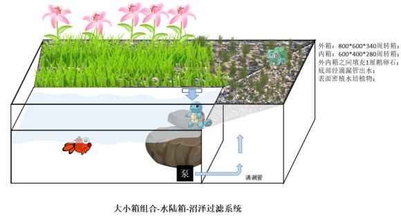 「龟龟环境篇」沼泽过滤(bogfilter):一种原生态水处理技术
