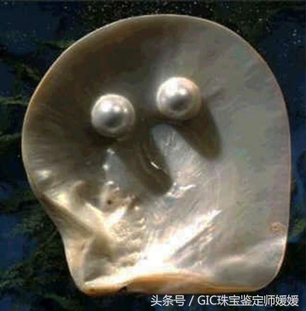 贝类怎么产珍珠的,贝壳产珍珠的过程