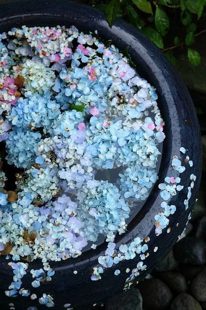 养生堂春季养肺视频,养生堂哪期节目播出养肺节目