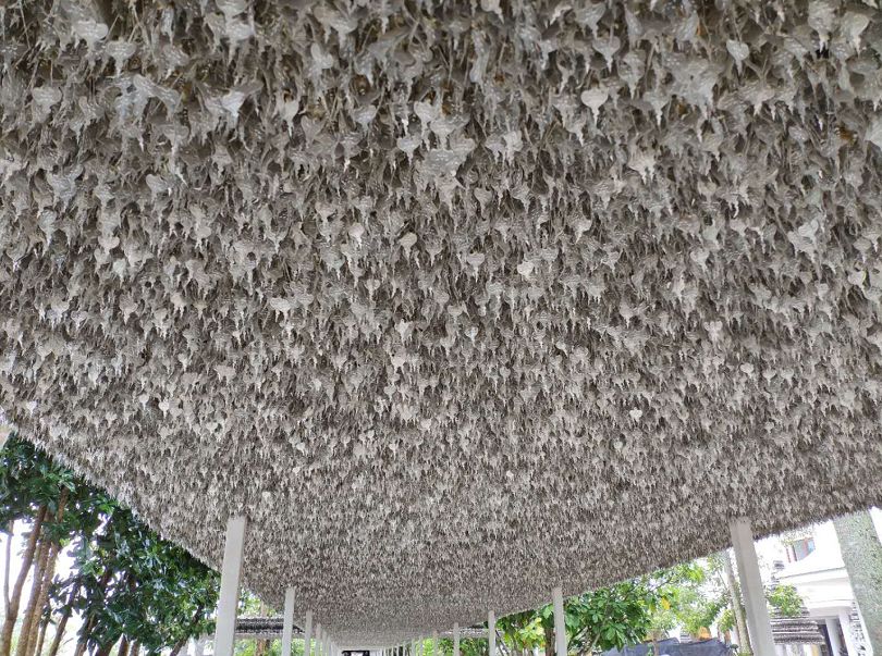 新款vespa300gts试驾,vespagts300发布时间