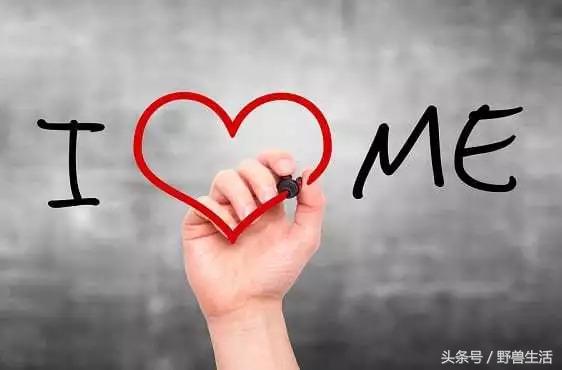 深度营养第十三章,深度营养在线阅读书评