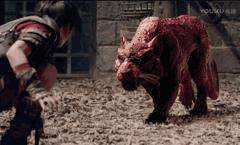 摸着良心说话是贬义吗,武动乾坤有新消息了吗