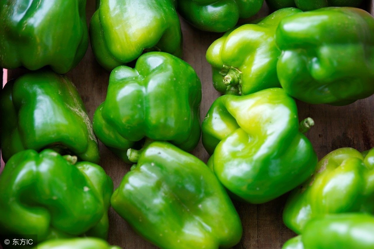 今日全国辣椒价格行情走势图,2022年8月份辣椒的价格行情