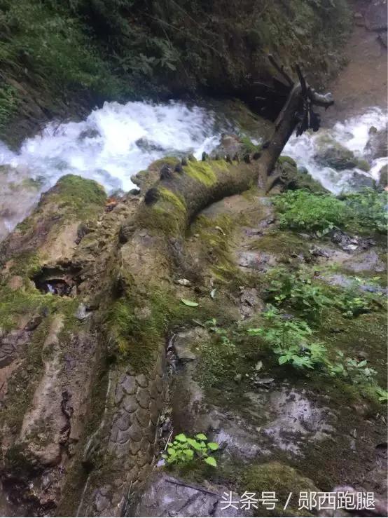 郧西城关印象,印象湖北十堰市