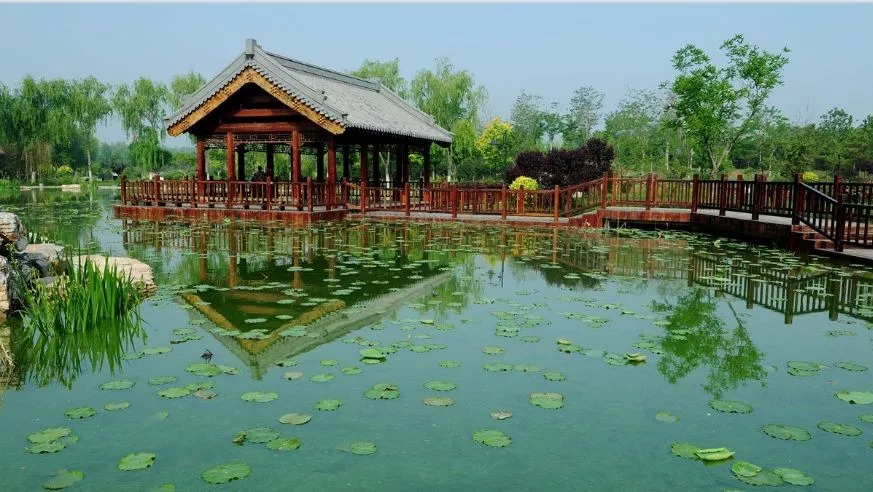 天津自然森林公园,天津最大的人造森林公园