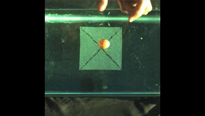 便便时被水溅到屁股怎么办？教你科学压水花，成为厕所王者