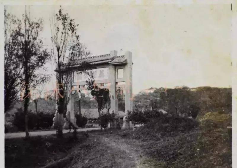 芜湖最好的生态公园,芜湖这个主题公园犹如仙境