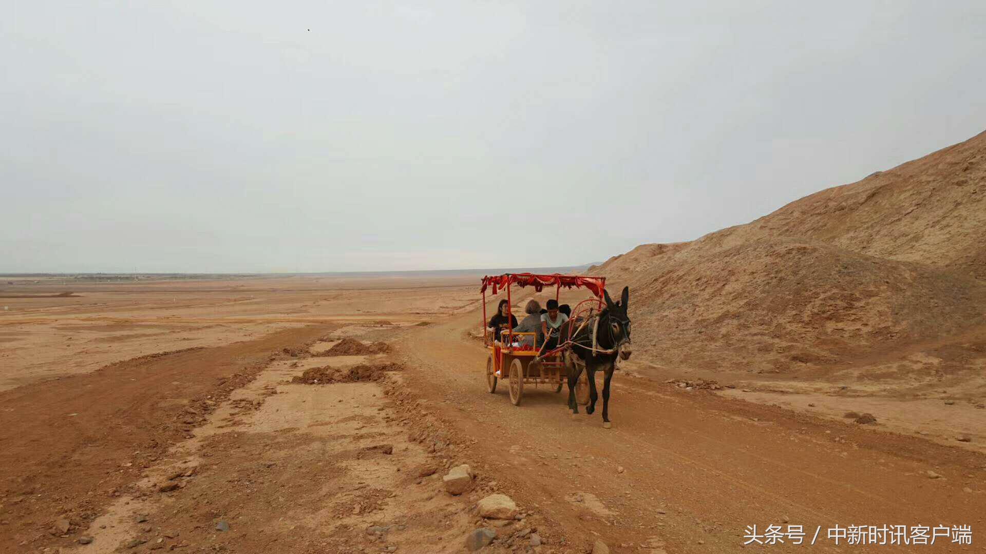 鍥捐鏂扮枂鍙樺寲,鍥捐鏂扮枂