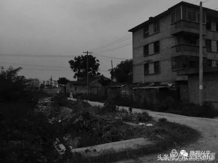 兴平：我的故乡我的云一一70后纤维厂纪事