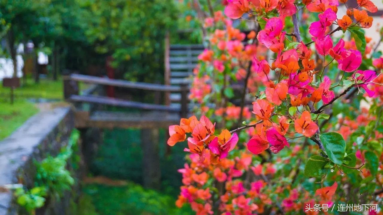 爱上美景只需要一秒,爱上甘南只需这十二个瞬间