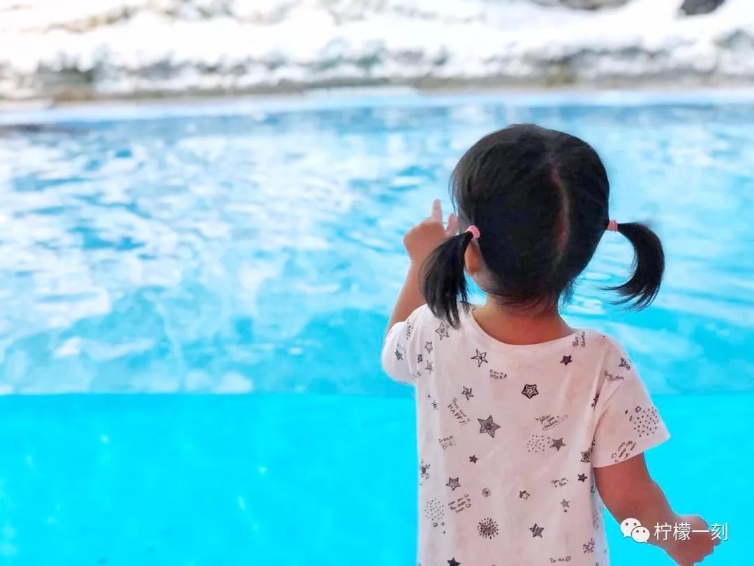 珠海长隆海洋王国美食攻略,深圳到珠海长隆海洋王国攻略