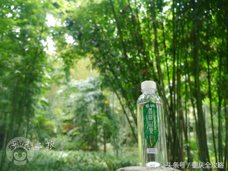 蜀南竹海美食全集,蜀南竹海关于竹子的美食