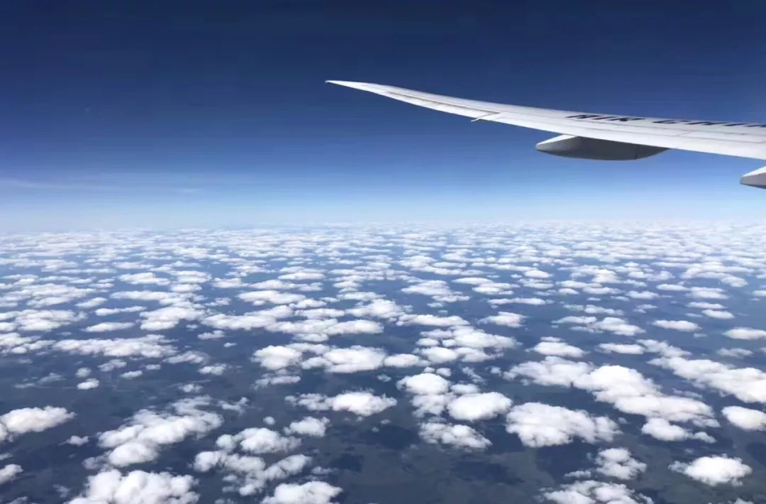 暑假生活打开暑假的100种方式,暑假生活经历了哪些新鲜事100字