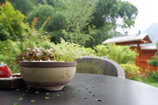 桂林阳朔无敌风景,阳朔龙头山水美如人间仙境