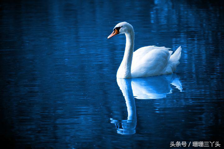 用色彩和光线拍出来的摄影作品,大色块高饱和度摄影什么风格