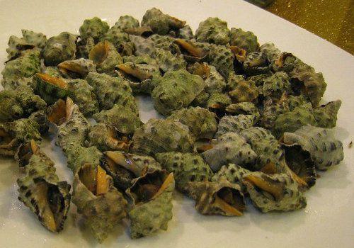 海螺的常见做法,海螺的不辣做法