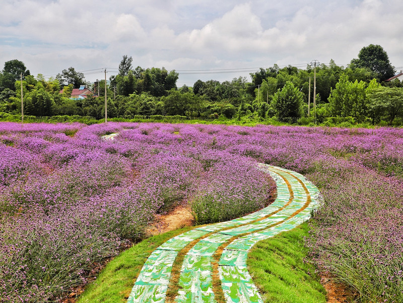 苏皖浙三省交界处,秋冬广德旅游攻略