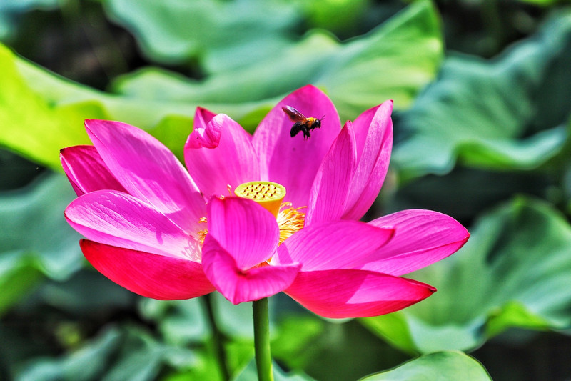 苏皖浙三省交界处,秋冬广德旅游攻略