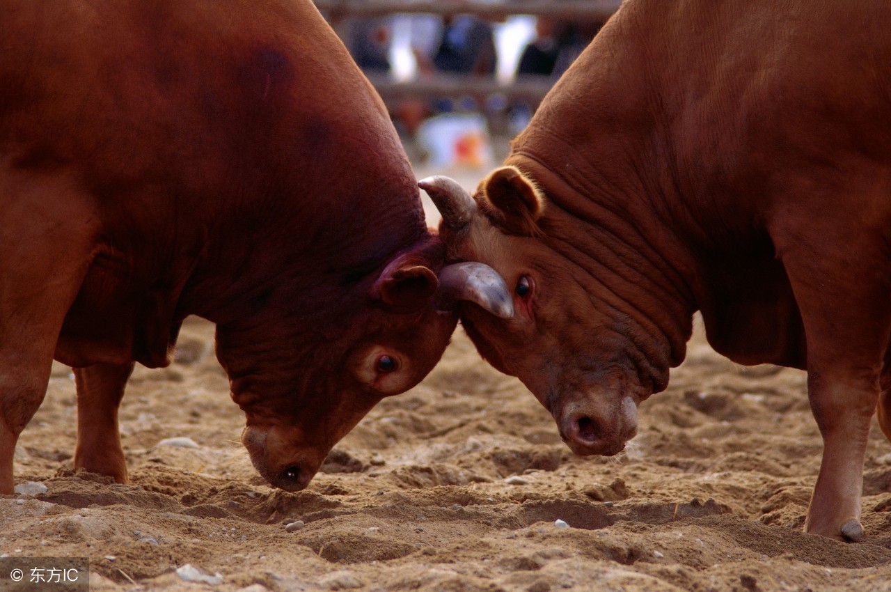 格力与美的海尔哪个出名,美的格力海尔这三个牌子哪个更好