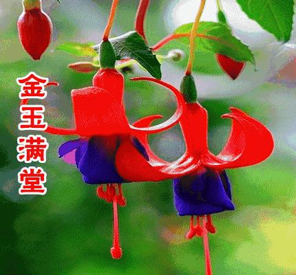 美好人生幸福相册,幸福人生的相册