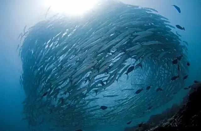 东南亚性价比最高的景点,东南亚好看风景