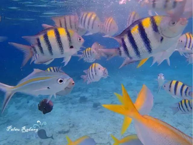 东南亚性价比最高的景点,东南亚好看风景