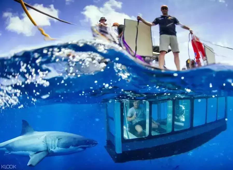 南澳除了美酒美食，还有这些超酷的打卡体验